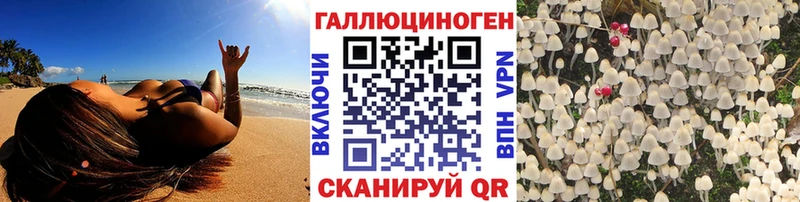 Псилоцибиновые грибы Cubensis  Видное 